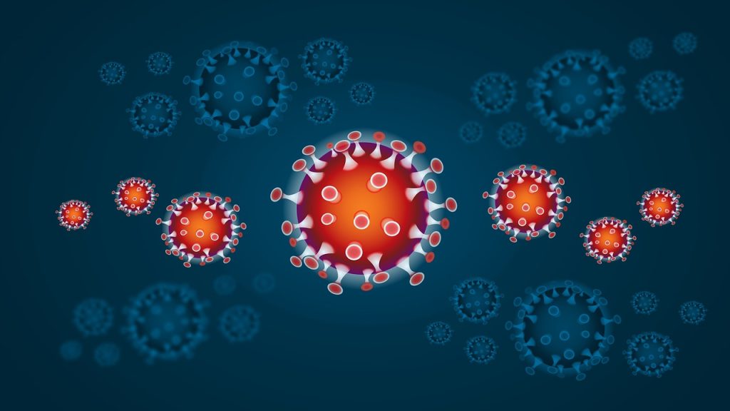 Probiyotikler ve Bağışıklık Sistemi: Diyetinizi Desteklemek İçin Doğru Bakterileri Seçin